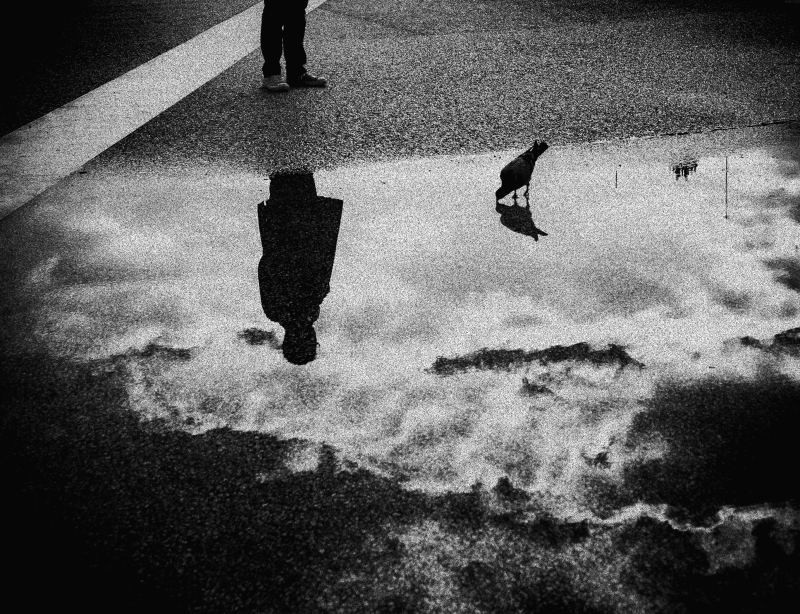 Why I Started a Blog: Navigating Self-Awareness and Personal&nbsp;Growth